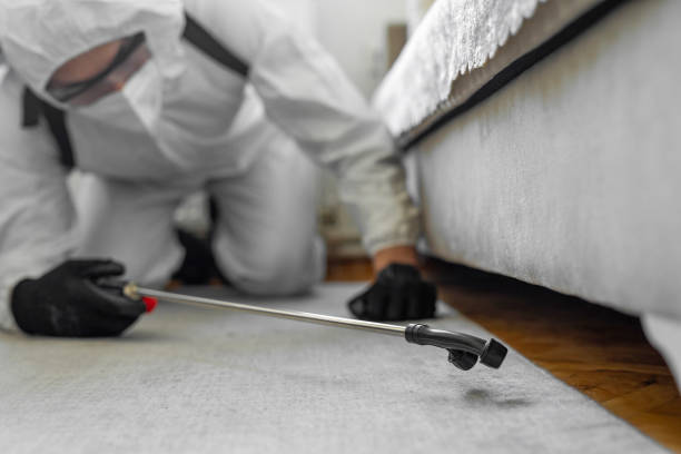 Professional Bed Bug Control technician working in Lauderdale County County, AL